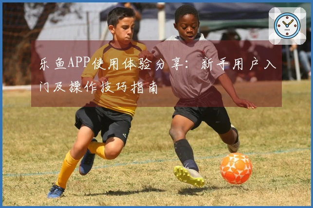 乐鱼APP使用体验分享：新手用户入门及操作技巧指南