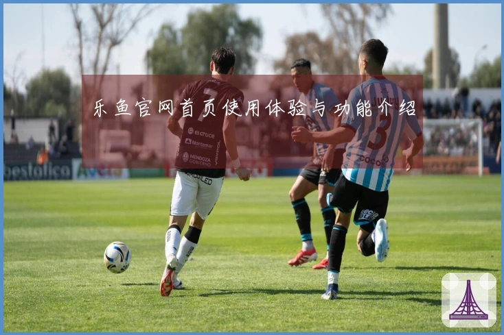 乐鱼官网首页使用体验与功能介绍